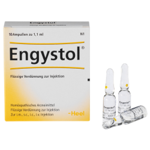 Engystol Ampullen 10St 