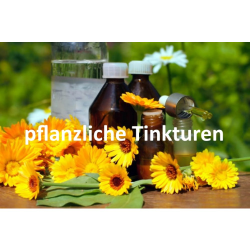 Pelargoniumwurzel (Pelargonium sidoides) Urtinktur 100ml Einzelherstellung