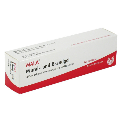 Arnika Salbe WALA 30 g