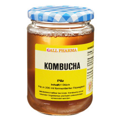 KOMBUCHA TEEPILZ 1St