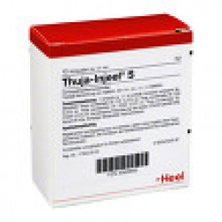 Thuja-Injeele S Ampullen 10St