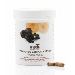 POLYPORUS Extrakt Kapseln Vorteilsdose 240St