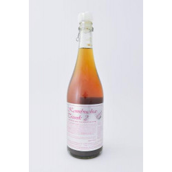 KOMBUCHA TRUNK 2 Gall Pharma 750ml