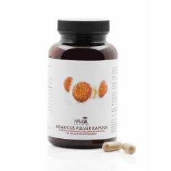 AGARICUS PULVER Kapseln 120St