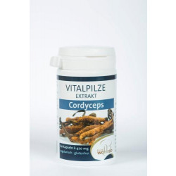 CORDYCEPS Vitalpilze Extrakt Kapseln 60St