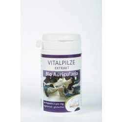 AURICULARIA Bio Vitalpilze Extrakt Kapseln 60St