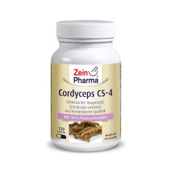 CORDYCEPS CS-4 Kapseln 120St