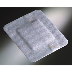 Primapore 8,3cm x 6cm 50St 