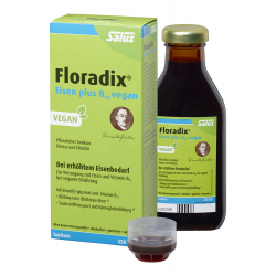 Floradix Eisen plus B12 vegan Tonikum 250ml