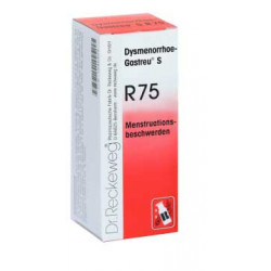Dysmenorrhoe-Gastreu® S R75 22ml Tropfen 