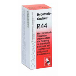 Hypotonie-Gastreu® R44 22ml Tropfen 