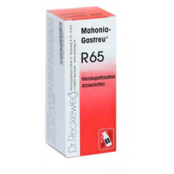 Mahonia-Gastreu® R65 22ml Tropfen 