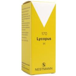 Lycopus H Nr.170 Tropfen 50ml