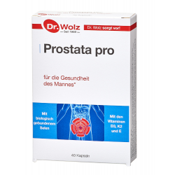 Prostata pro Dr. Wolz Kapseln 40 St.