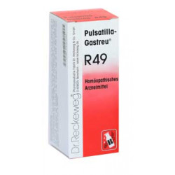 Pulsatilla-Gastreu® R49 22ml Tropfen 