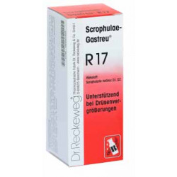 Scrophulae-Gastreu® R17  Gutartige Drüsenvergrößerungen 50ml Tropfen