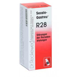 Secale-Gastreu® R28 22ml Tropfen